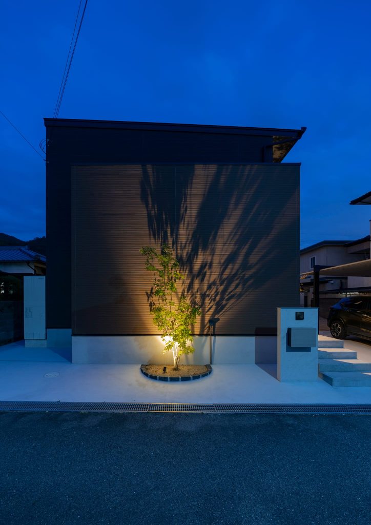 forest20191005-011